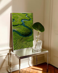 After Hover: Fluss im Regenwald