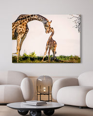 After Hover: Giraffen-Familie