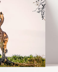 After Hover: Giraffen-Familie