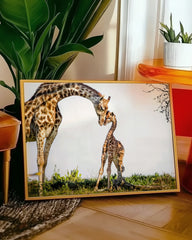 After Hover: Giraffen-Familie
