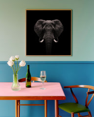 After Hover: Elefant-Portrait auf schwarzem Hintergrund