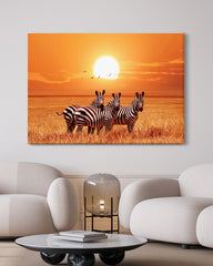 After Hover: Zebras bei Sonnenuntergang