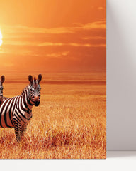 After Hover: Zebras bei Sonnenuntergang