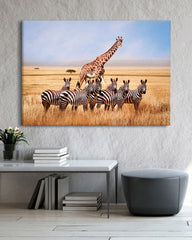 After Hover: Giraffe und Zebras in der Savanne