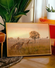 After Hover: Giraffen in der Savanne