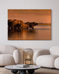 After Hover: Elefanten im See