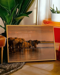 After Hover: Elefanten im See