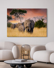 After Hover: Elefanten-Familie