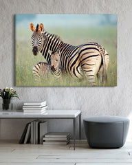 After Hover: Zebra-Mama und Junges