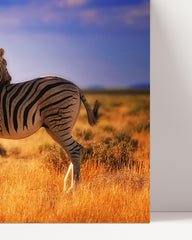 After Hover: Zebra-Herde