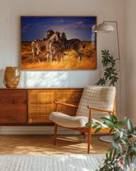 After Hover: Zebra-Herde