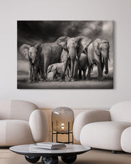 After Hover: Elefanten-Herde in Schwarz-Weiß