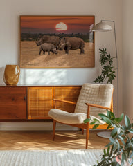 After Hover: Nashörner-Familie