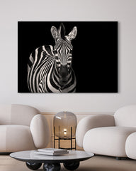 After Hover: Zebra Tier Fotografie Schwarz-Weiß