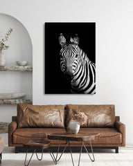 After Hover: Zebra auf schwarzem Hintergrund