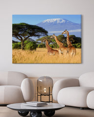 After Hover: Giraffen in der Savanne