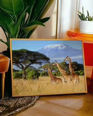 After Hover: Giraffen in der Savanne