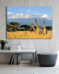 After Hover: Giraffen in der Savanne