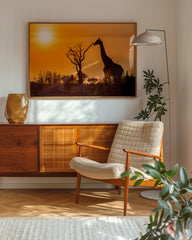After Hover: Giraffe bei Sonnenuntergang