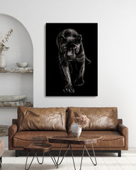 After Hover: Schwarzer Panther