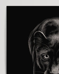 After Hover: Schwarzer Panther