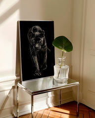 After Hover: Schwarzer Panther