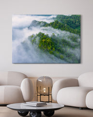 After Hover: Regenwald im Nebel