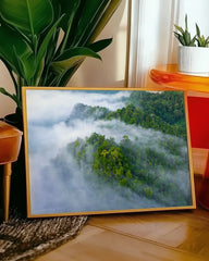 After Hover: Regenwald im Nebel