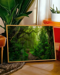 After Hover: Wanderpfad im Regenwald