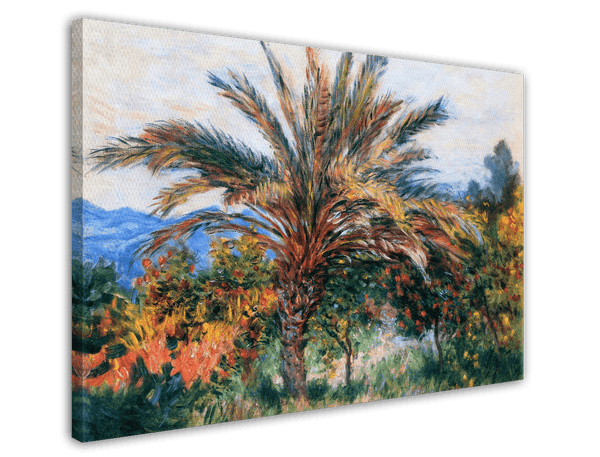 Claude Monet - Palme bei Bordighera