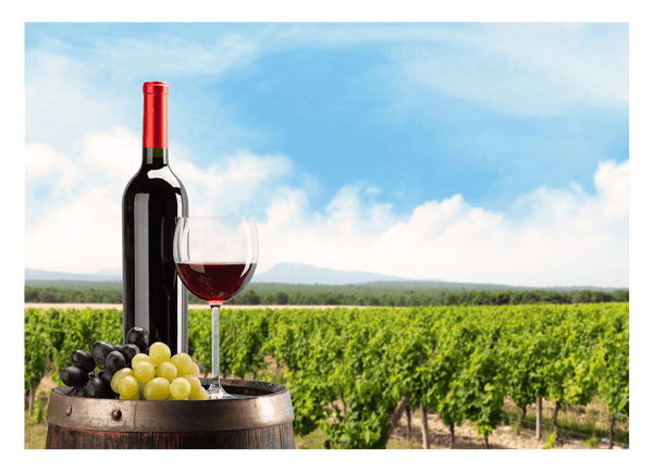 Weinflasche im Weinbaugebiet mit Trauben