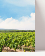 After Hover: Weinflasche im Weinbaugebiet mit Trauben