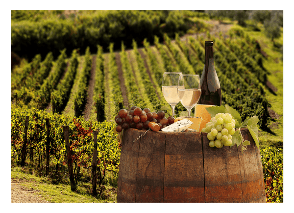 Weinflasche und Gläser im Weinbaugebiet - Idyllisches Ambiente