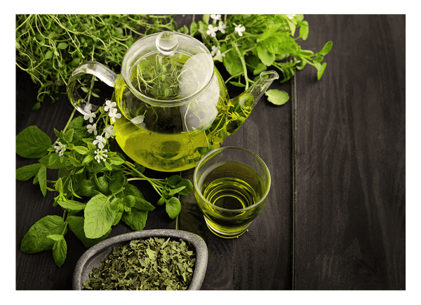 Teegenuss - Frische Teezubereitung