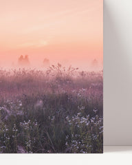 After Hover: Romantische Blumenwiese