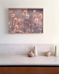 After Hover: Blumen - Nahaufnahme