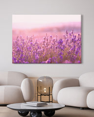 After Hover: Flieder - Nahaufnahme