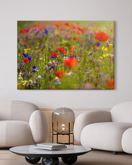 After Hover: Blumenwiese im Sommer