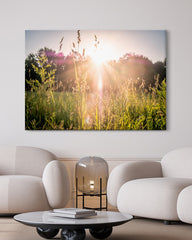 After Hover: Sonnenstrahlen auf einer Wiese