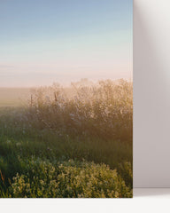 After Hover: Feld im Nebel