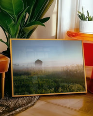 After Hover: Feld im Nebel