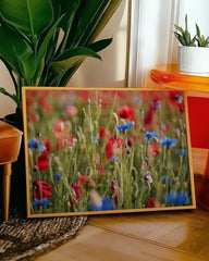 After Hover: Blumenwiese