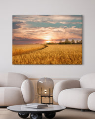 After Hover: Sommer-Feld