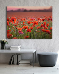 After Hover: Mohnblumen