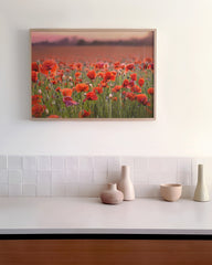 After Hover: Mohnblumen