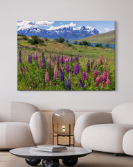 After Hover: Bergwiese mit Blumen