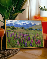 After Hover: Bergwiese mit Blumen