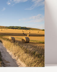 After Hover: Sommer-Feld