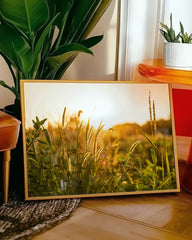 After Hover: Gräser - Nahaufnahme