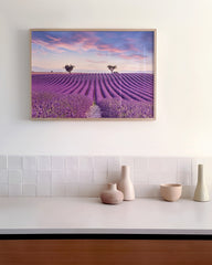 After Hover: Lavendelfeld mit zwei Bäumen - Natur Fotografie in Fliedertönen